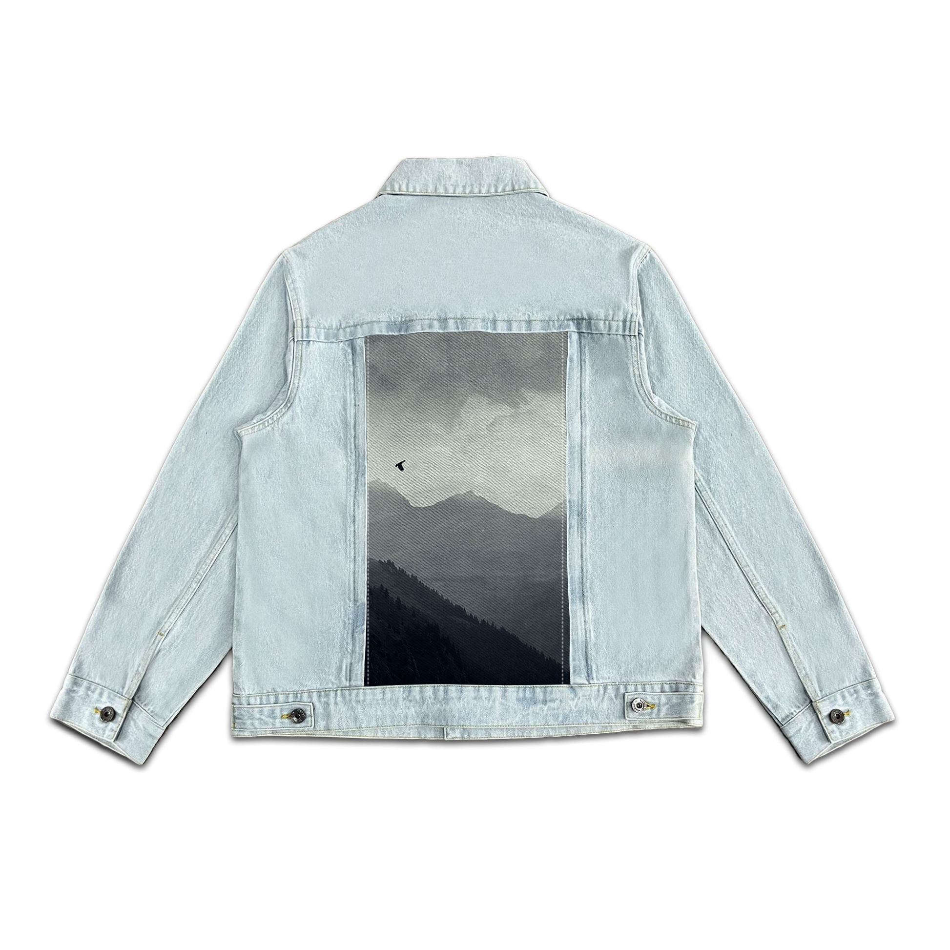 MORNING FLIGHT SWAP-6201