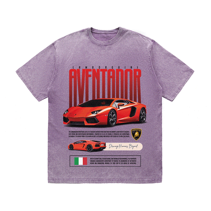 RDMCLOTHINGART tapestry hoodie AVENTADOR HEAVY WEIGHT COTTON TEE-8831