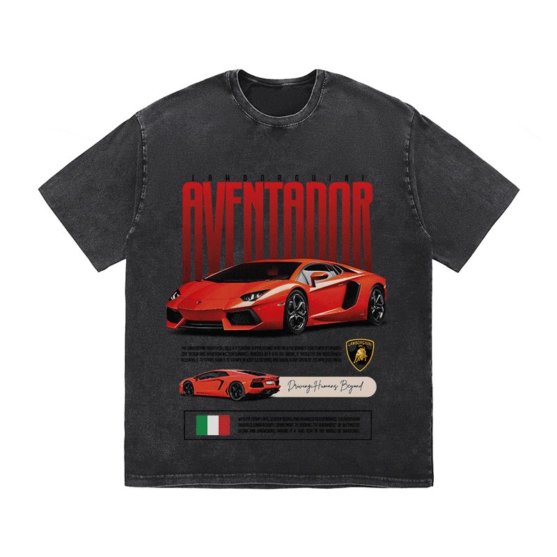 RDMCLOTHINGART tapestry hoodie AVENTADOR HEAVY WEIGHT COTTON TEE-8831