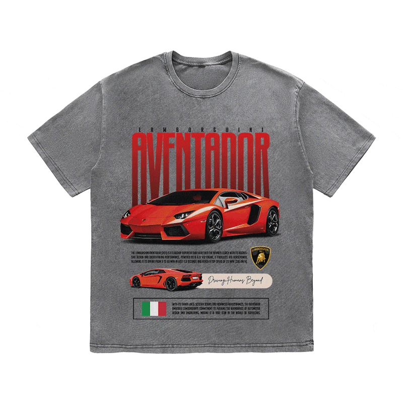 RDMCLOTHINGART tapestry hoodie AVENTADOR HEAVY WEIGHT COTTON TEE-8831