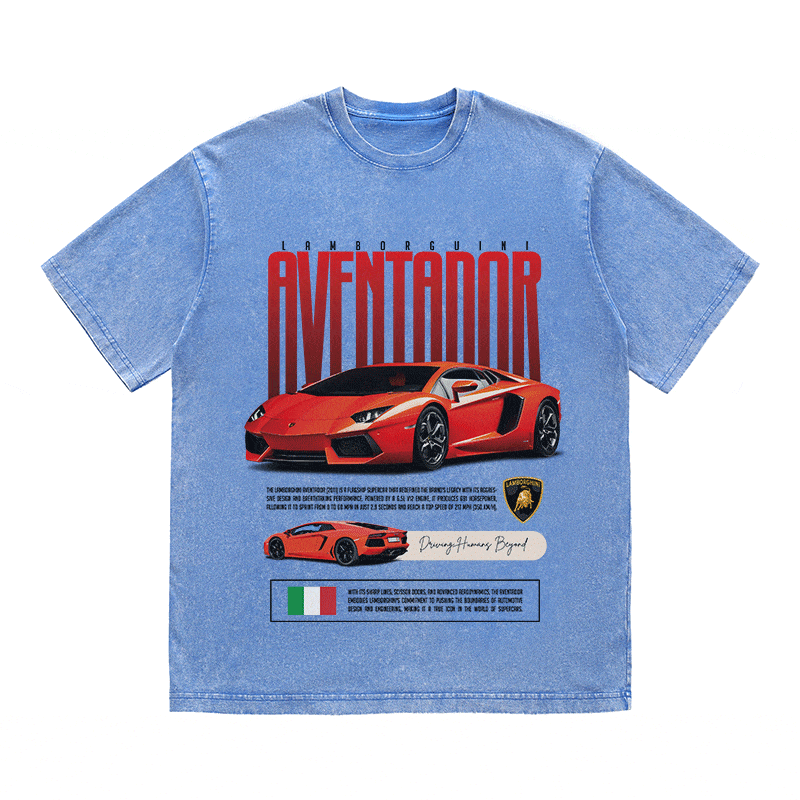 RDMCLOTHINGART tapestry hoodie AVENTADOR HEAVY WEIGHT COTTON TEE-8831