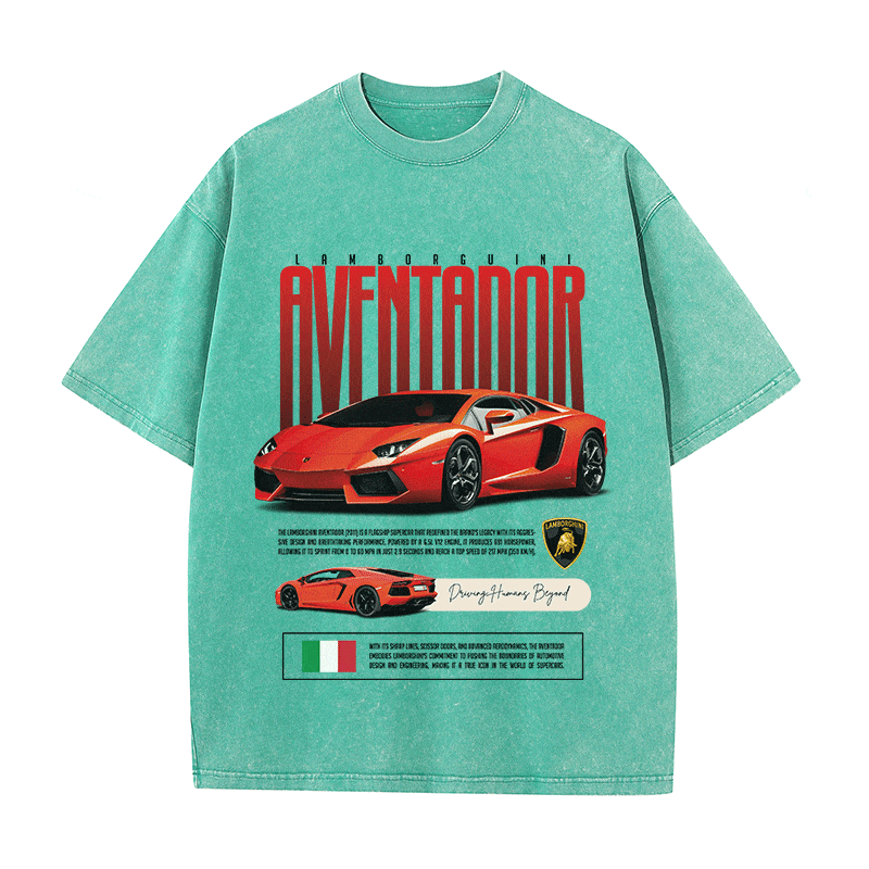 RDMCLOTHINGART tapestry hoodie AVENTADOR HEAVY WEIGHT COTTON TEE-8831