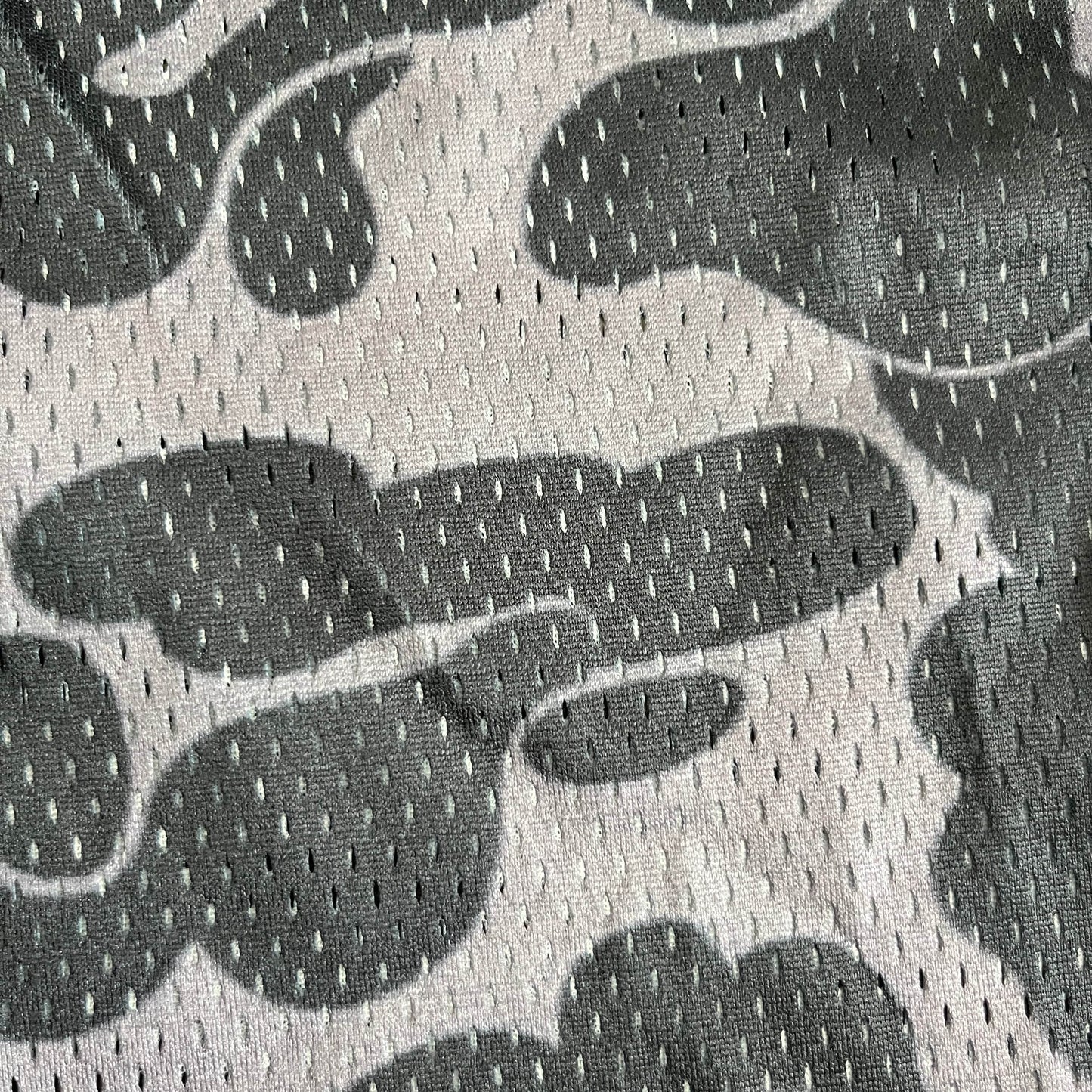 RDMCLOTHINGART tapestry hoodie BAPE BLACK MESH SHORTS-8603