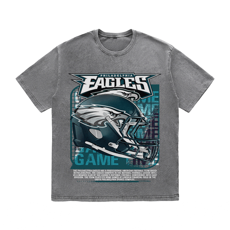 RDMCLOTHINGART tapestry hoodie EAGLES HEAVY WEIGHT COTTON TEE-8771