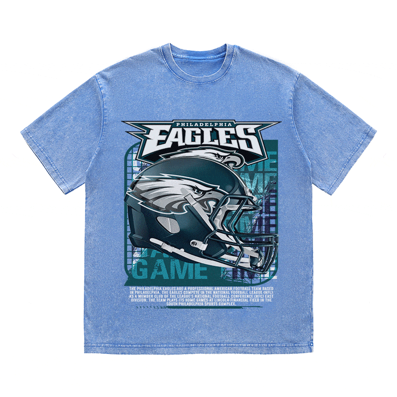 RDMCLOTHINGART tapestry hoodie EAGLES HEAVY WEIGHT COTTON TEE-8771