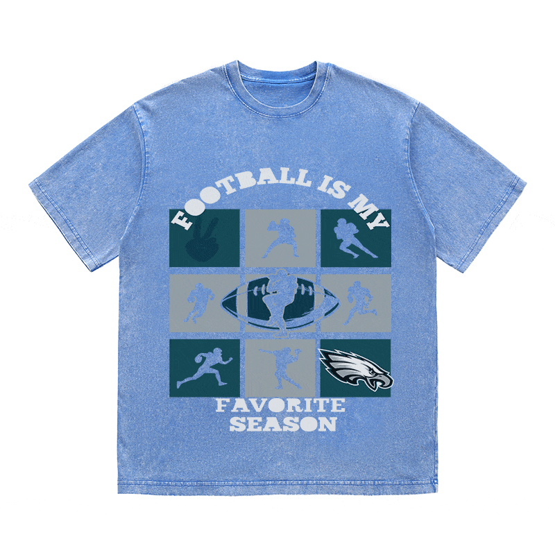 RDMCLOTHINGART tapestry hoodie EAGLES HEAVY WEIGHT COTTON TEE-8773