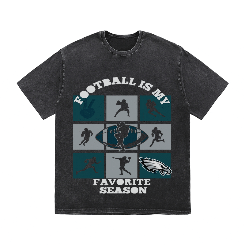 RDMCLOTHINGART tapestry hoodie EAGLES HEAVY WEIGHT COTTON TEE-8773