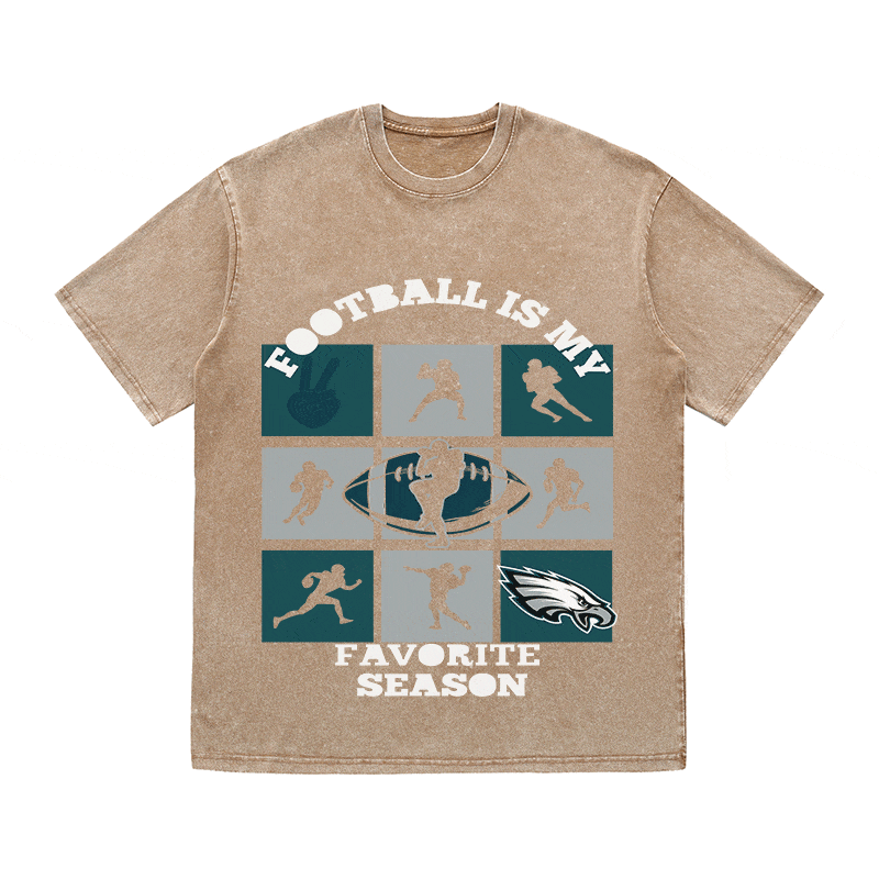 RDMCLOTHINGART tapestry hoodie EAGLES HEAVY WEIGHT COTTON TEE-8773