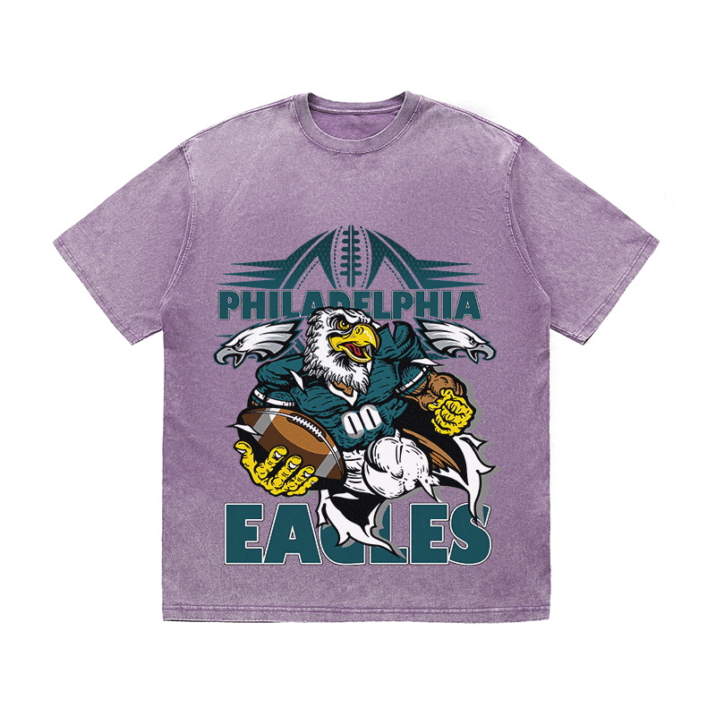 RDMCLOTHINGART tapestry hoodie EAGLES HEAVY WEIGHT COTTON TEE-8788