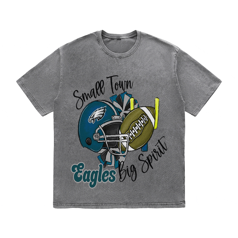 RDMCLOTHINGART tapestry hoodie EAGLES HEAVY WEIGHT COTTON TEE-8794