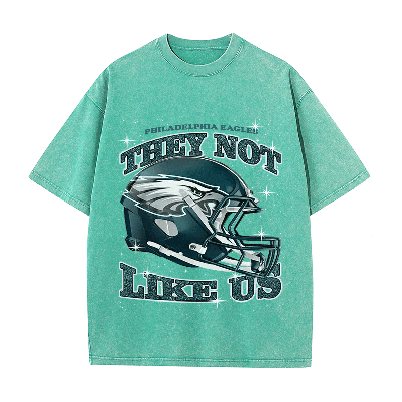 RDMCLOTHINGART tapestry hoodie EAGLES HEAVY WEIGHT COTTON TEE-8796