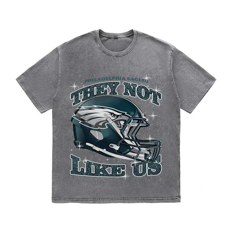 RDMCLOTHINGART tapestry hoodie EAGLES HEAVY WEIGHT COTTON TEE-8796