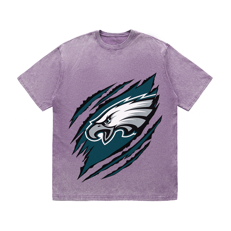 RDMCLOTHINGART tapestry hoodie EAGLES HEAVY WEIGHT COTTON TEE-8807