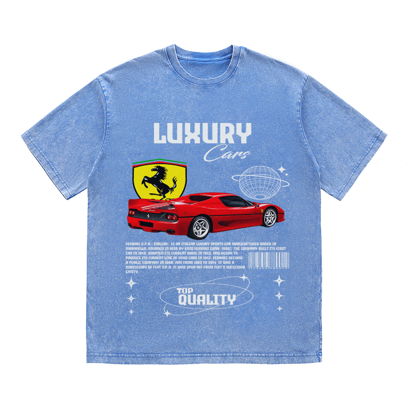 RDMCLOTHINGART tapestry hoodie FERRARI HEAVY WEIGHT COTTON TEE-9094