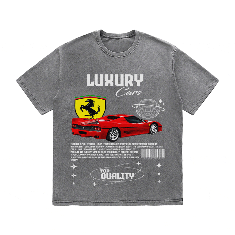 RDMCLOTHINGART tapestry hoodie FERRARI HEAVY WEIGHT COTTON TEE-9094