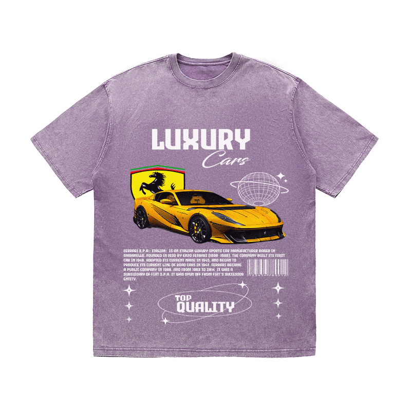 RDMCLOTHINGART tapestry hoodie FERRARI HEAVY WEIGHT COTTON TEE-9095