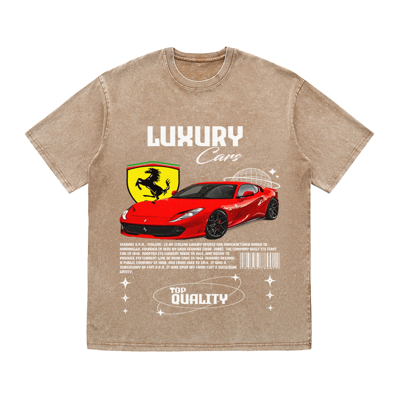 RDMCLOTHINGART tapestry hoodie FERRARI HEAVY WEIGHT COTTON TEE-9096