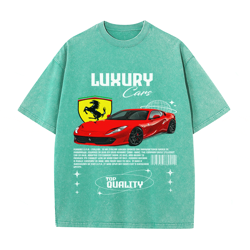 RDMCLOTHINGART tapestry hoodie FERRARI HEAVY WEIGHT COTTON TEE-9096