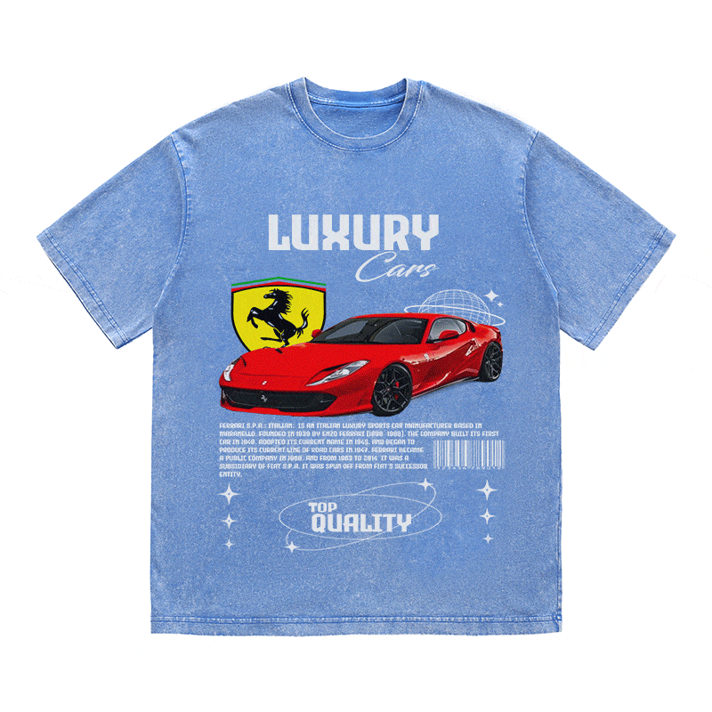 RDMCLOTHINGART tapestry hoodie FERRARI HEAVY WEIGHT COTTON TEE-9096
