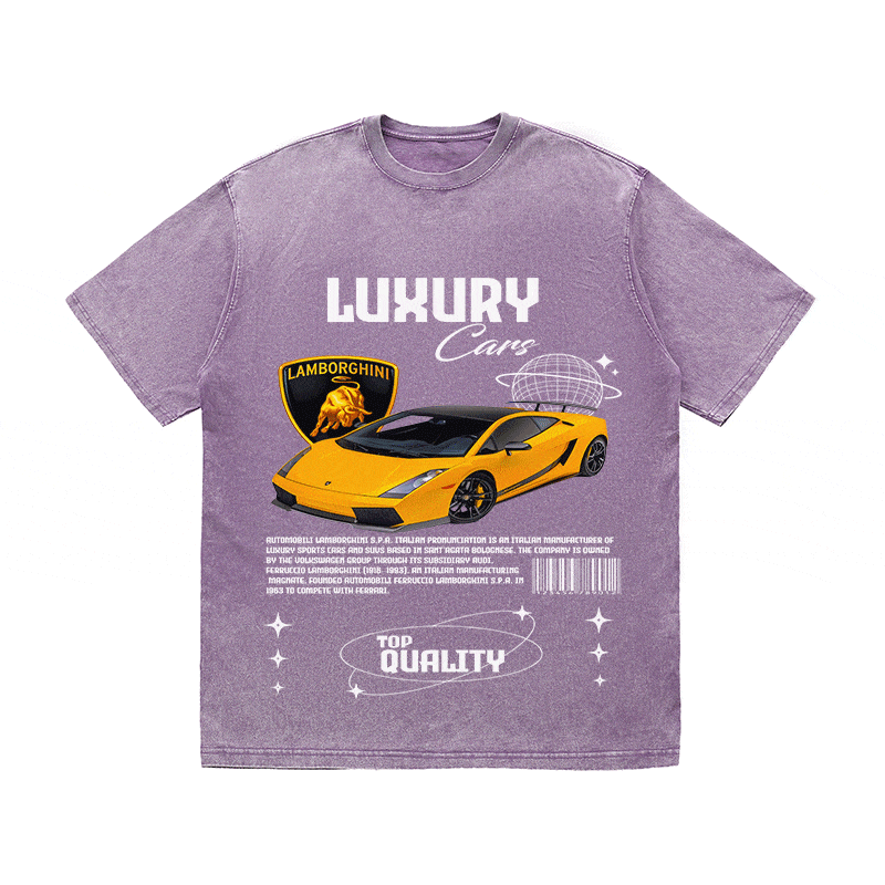 RDMCLOTHINGART tapestry hoodie LAMBORGHINI 00 HEAVY WEIGHT COTTON TEE-9100