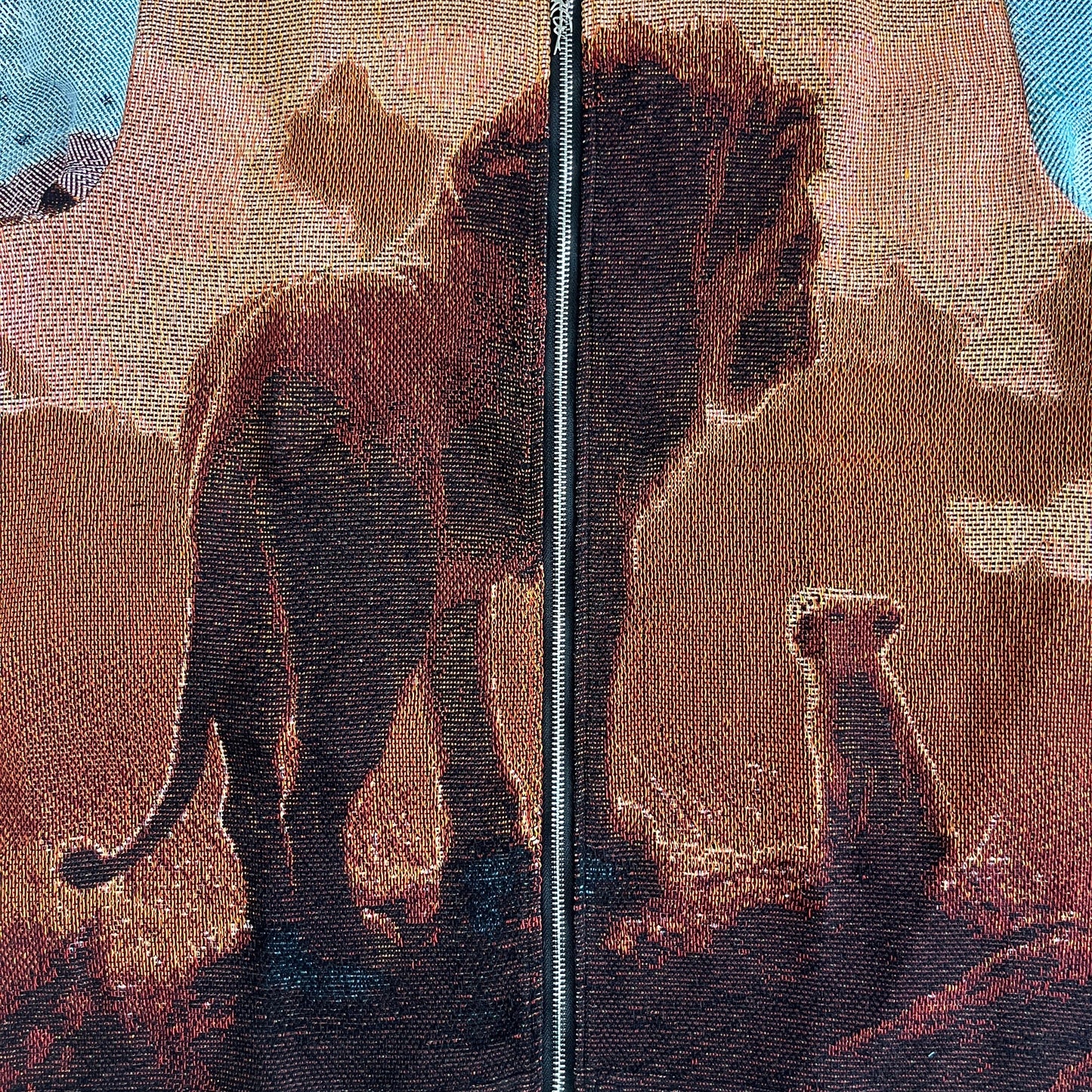 RDMCLOTHINGART tapestry hoodie LION KING TAPESTRY JACKET