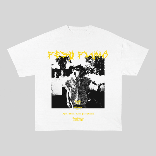 RDMCLOTHINGART tapestry hoodie PESO PLUMA HEAVY WEIGHT COTTON TEE-8914