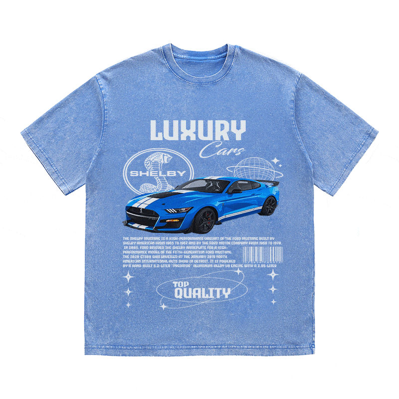 RDMCLOTHINGART tapestry hoodie SHELBY HEAVY WEIGHT COTTON TEE-9111