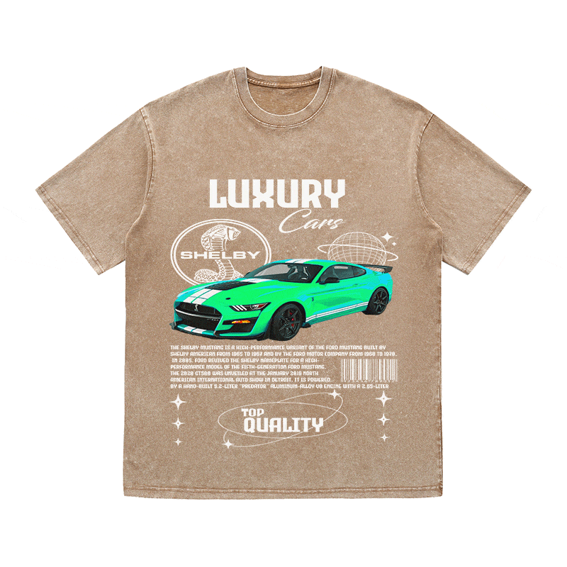 RDMCLOTHINGART tapestry hoodie SHELBY HEAVY WEIGHT COTTON TEE-9112