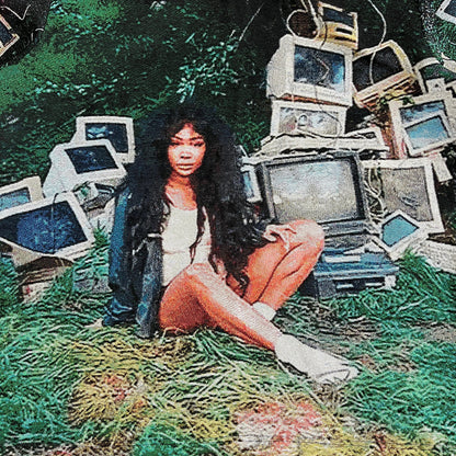 RDMCLOTHINGART tapestry hoodie SZA V2 TAPESTRY HOODIE